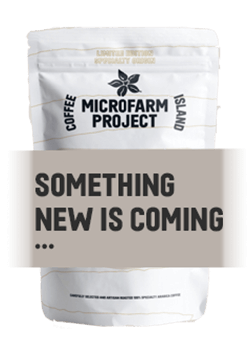 Something new is coming...