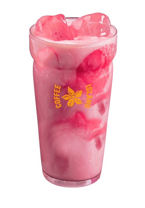 Iced Tea Oat Latte Ιβίσκος Vegan 12oz