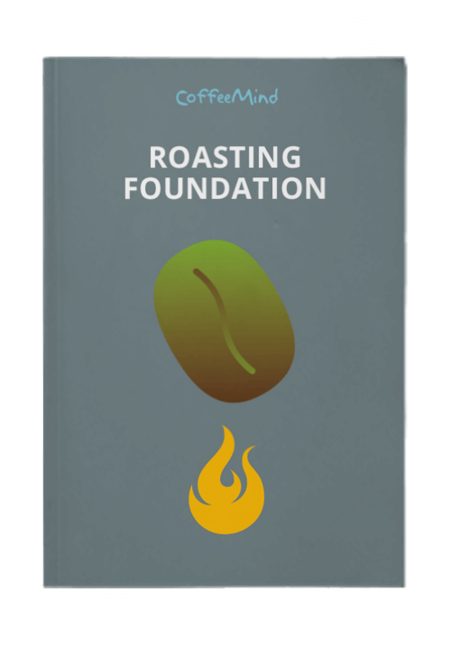 Roasting Foundation Βιβλίο