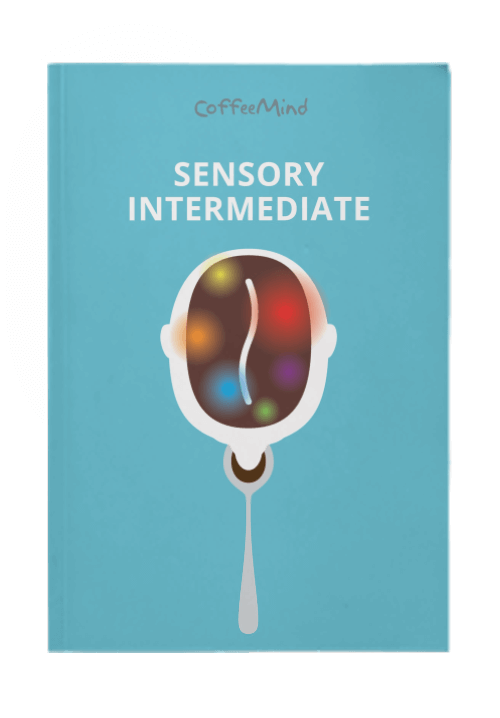 Sensory Intermediate Βιβλίο