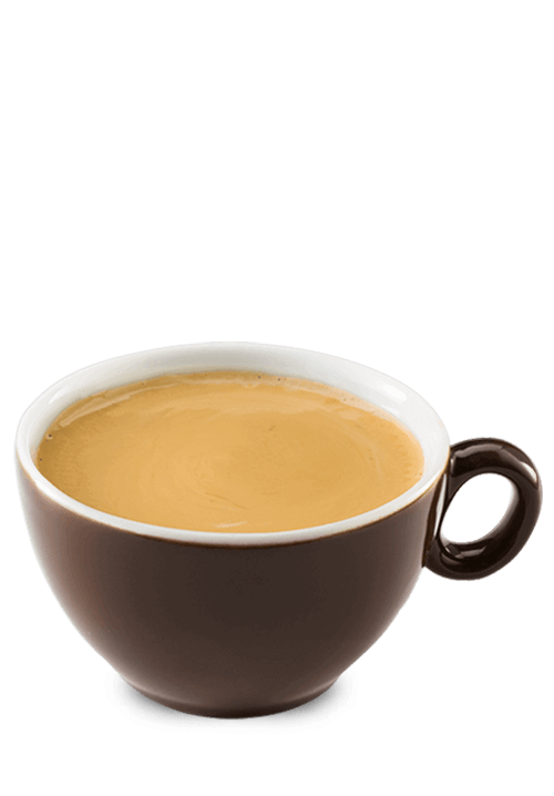 Στιγμιαίος Ζεστός 16oz