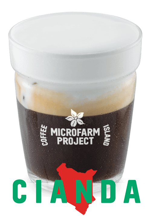 Freddo Cappuccino Microfarm 12oz