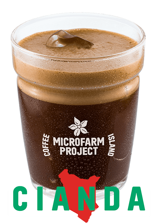 Espresso Freddo Microfarm 12oz