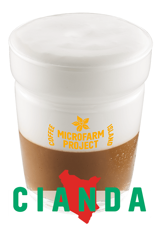 Iced Spanish Latte Microfarm 12oz